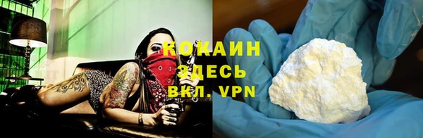 кокс Белокуриха