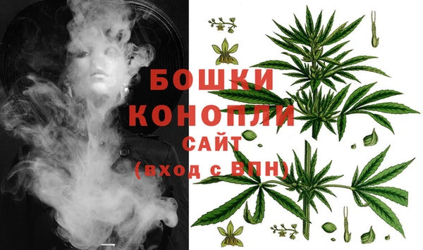кокс Белокуриха